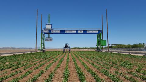 Lemnatec field scanalyzer Phenotyping field scanner system