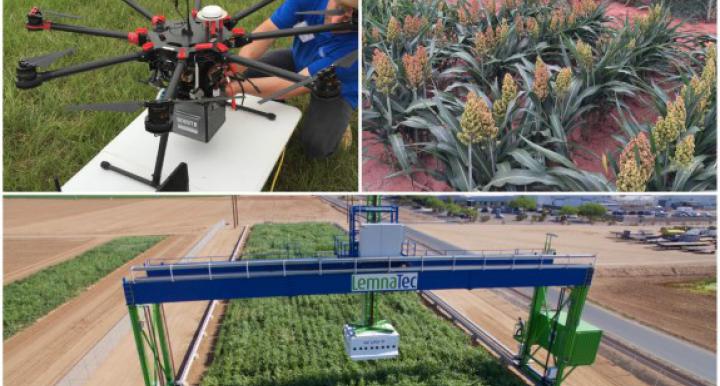Crops get the high tech treatment with the world’s largest robotic field scanner is operational at the University of Arizona's Maricopa Agricultural Center (MAC).